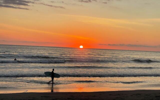 Hotel Tropical Garden