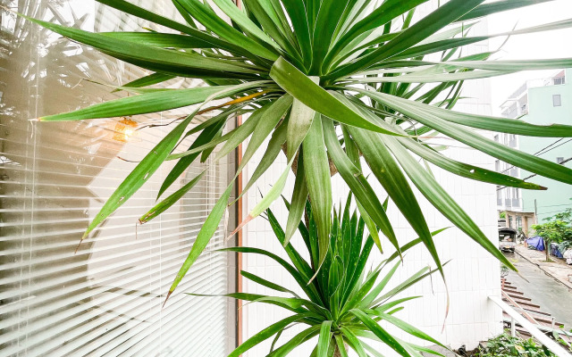 Baphu Apartment-5min walk to MyKhe beach