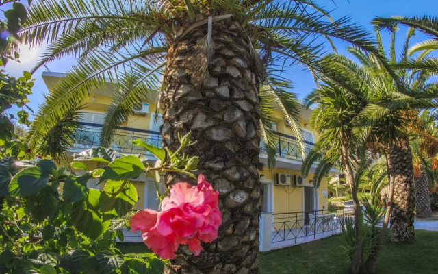 Olive Grove Apts