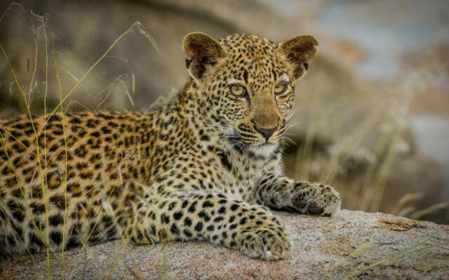 Lion Sands Narina Lodge