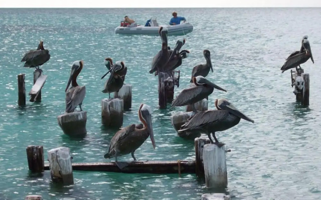 Posada Acuario