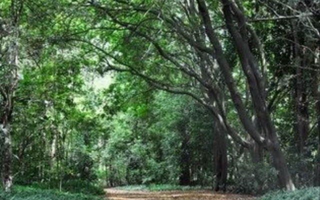 Meadowood Boutique Accommodation