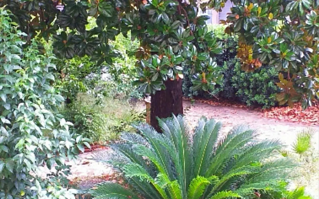Un Giardino a Due Passi dal Mare
