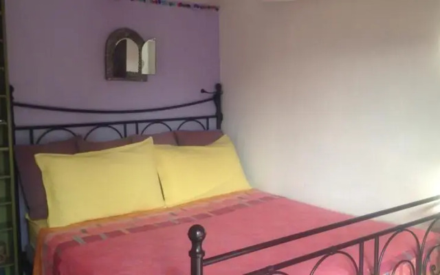 Mole'N Room