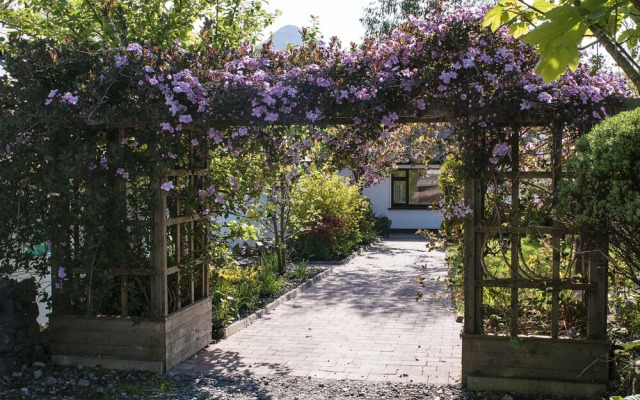 Cloverfox Connemara