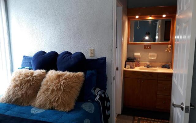 Blue House