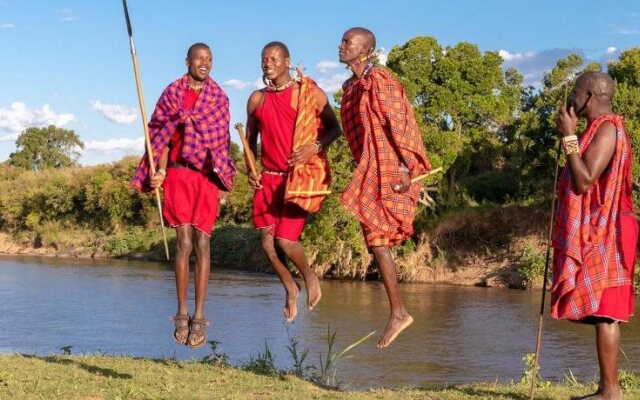Hammerkop Migration Camp