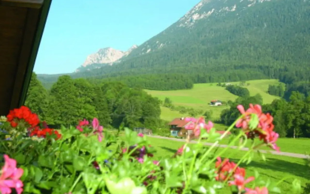 Staufenblick Roof Studio in the House
