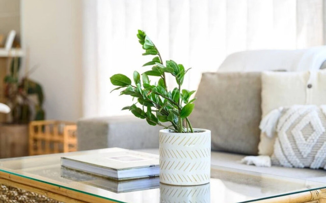 Your Ocean Oasis Ocean Country Views Spa Pet Friendly Fireplace