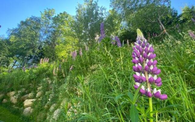 Appartements Max&moritz