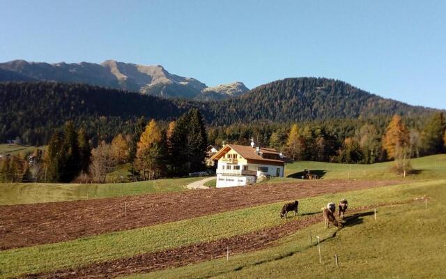 Brugghof Apartement Lärche