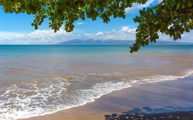 Sands Of Kahana 272 - Two Bedroom Condo