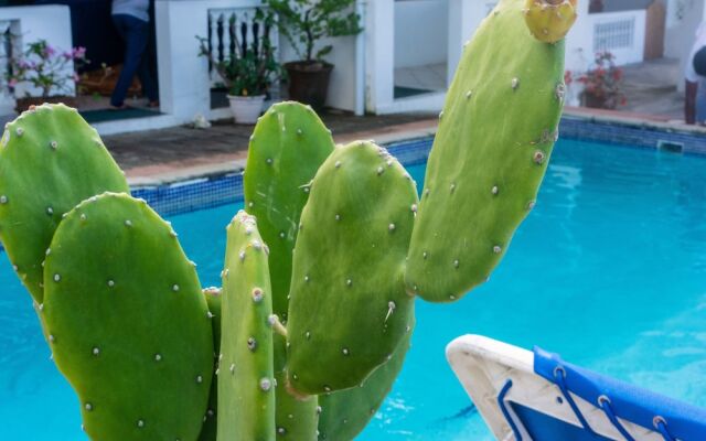 Cleopatra Villas - Sea View