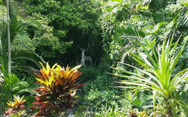 Pulse Suites at Villa Ronai