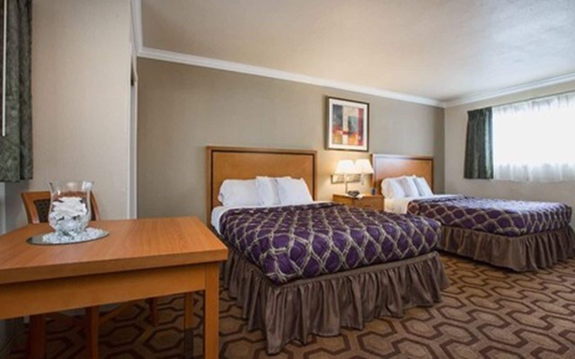 SOMA Park Inn – Civic Center