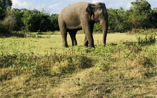 Sigiriya Nature Villa Lodge
