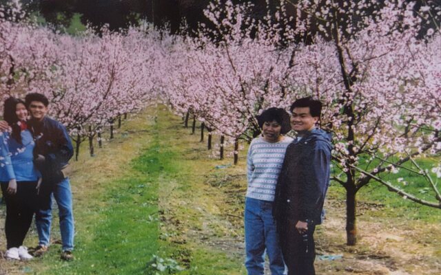 Waitomo Orchard Estate B&B