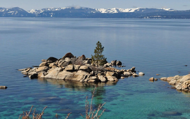 Tahoe Chaparral