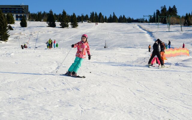 Areál Friesovy boudy