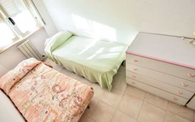 Green Marine. Palme. Ismare 17725