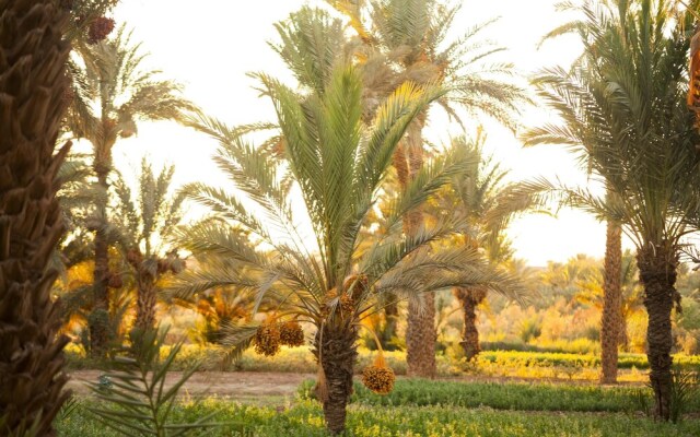 Villa Jardins Damzrou