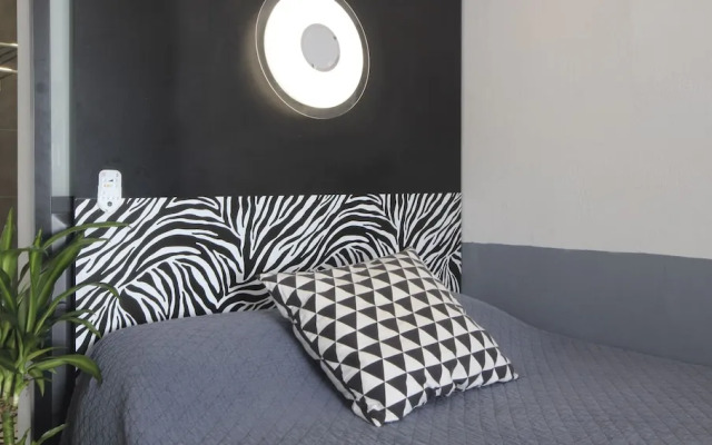 Sunrise Studio Zebra