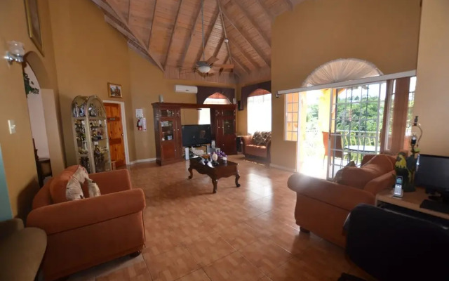 Dream Castle Villa, Montego Bay 8BR