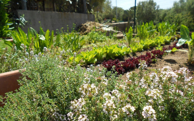 Hotel Grazia Deledda