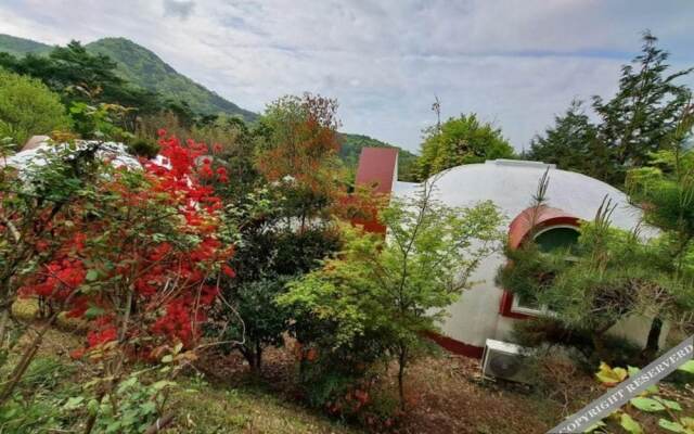 Damyang Firefly Pension