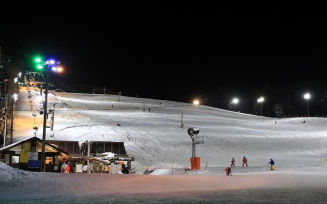 Alpine Chalets Hakuba