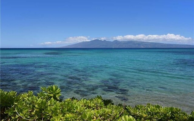 Kuleana #201 2 Bedroom Home