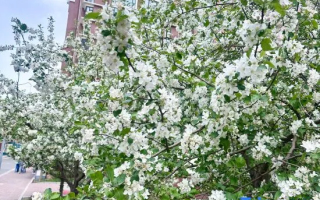 Huolin Gol Fengqiao Yebo Homestay