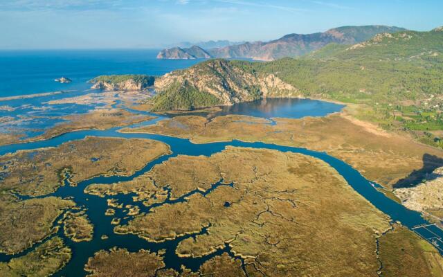 Villa Elmas Paradise