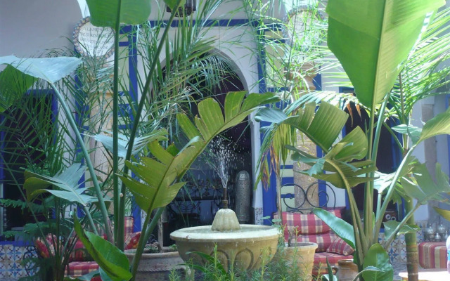 Riad Safi