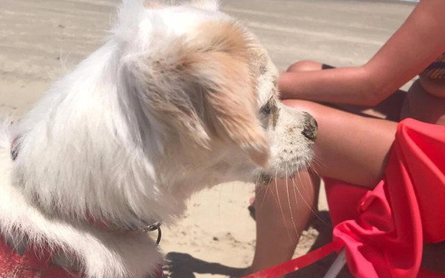 Pousada Bougainville