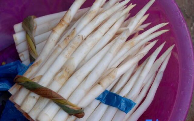 Yanchaoyang Boutique Inn