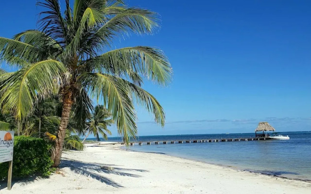 Indigo Belize