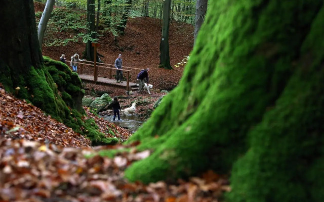 Le Héron 28pers, Malmedy- Home cinéma, balnéo, sauna, jardin