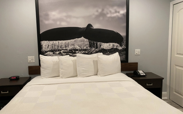 Aura Inn Monterey
