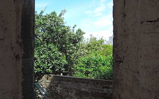 La Casa nel Cortile