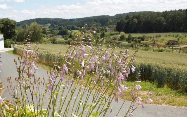 Ferienhaus Planetz