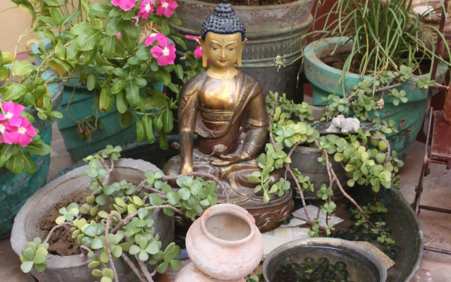 Udai Niwas - a boutique homestay