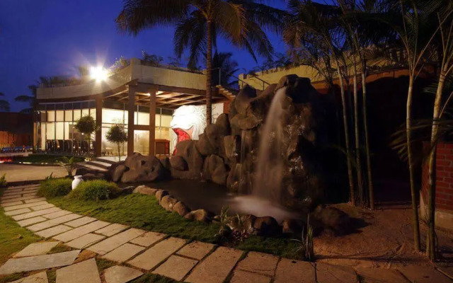 Ivy – theunwindisland