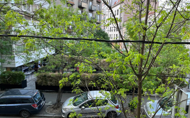 Apartment Ana - City Center