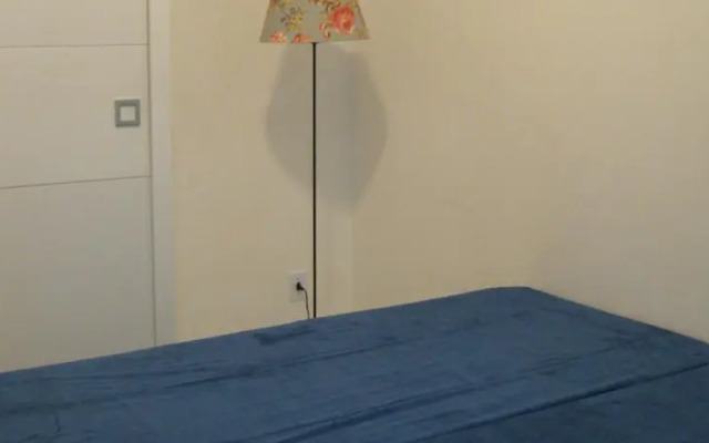 Ministro Viveiros de Castro