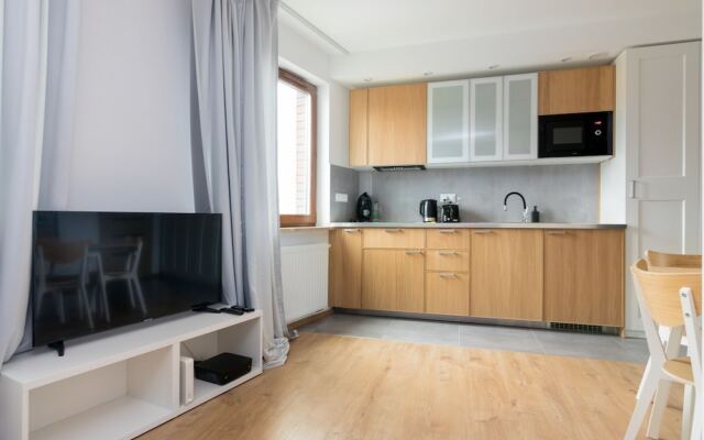 Old Praga Cosy Studio