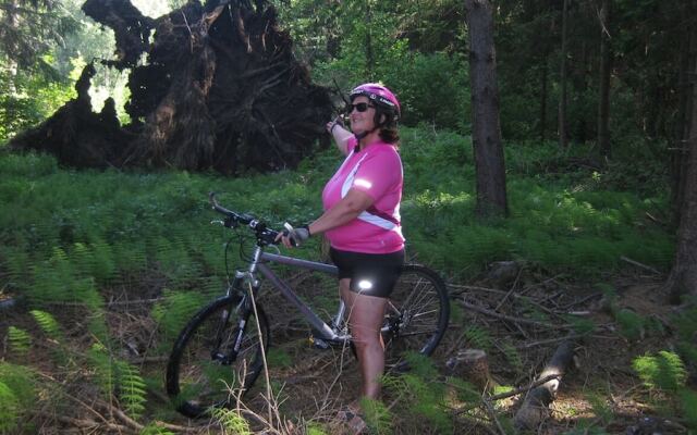 Ferienwohnung Bücherl