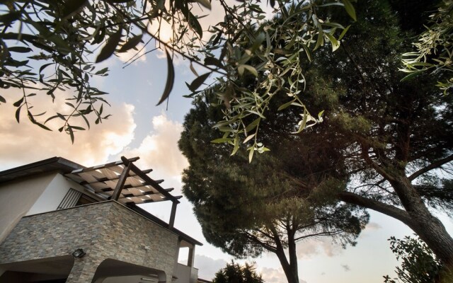 Villa dei Pini 7 posti vicino al mare