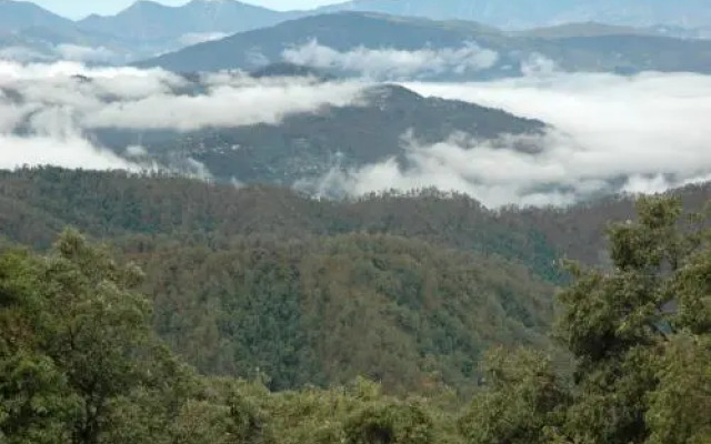 Gopal Binsar Retreat