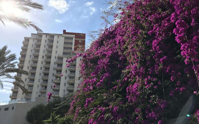 Apartamentos do mar 303